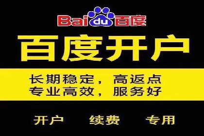 某行业巨头如何利用百度推广获客